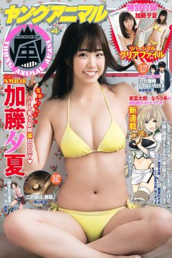 Chinese HD XXXX tube